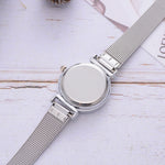 Simple Silver Mesh Strap