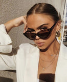Cat Eye Stylish Sunglasses
