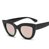 Chic Cat Eye Tinted Colour Sunglasses