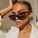 Cat Eye Stylish Sunglasses