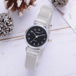 Simple Silver Mesh Strap