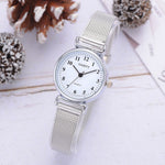 Simple Silver Mesh Strap
